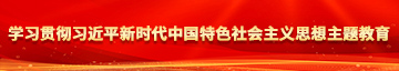 操逼吃大鸡吧学习贯彻习近平新时代中国特色社会主义思想主题教育